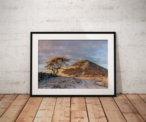 To buy a print or any of the below please click on the images